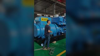 Pemuatan Genset Diesel di Tempat