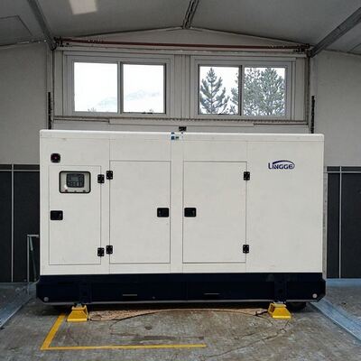 Beli 30KW 40KW 50KW 60KW 100KW 200KW 300KW 400KW Mesin listrik Generator listrik untuk dijual online manufacture