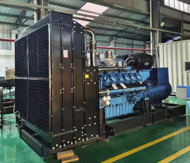 1800kVA 1440KW memuaskan Dinamo LPG Generator Gas Generator Gas Alam Set Untuk Pasokan Energi Industri