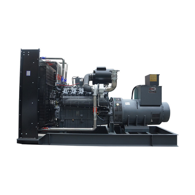 Custom IP23 800kva Perkins Generator 640kw Pembangkit Listrik Cadangan